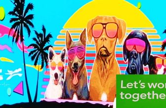 Better Teams Lead to Improved Performance