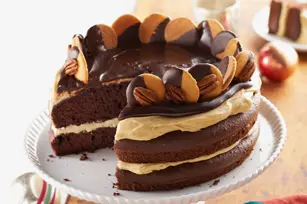 Turtle-Cake-58684 christmas party potluck ideas