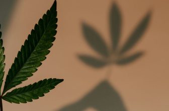 Finding Purpose Through Grief and Grass