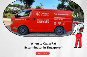 When to Call a Rat Exterminator in Singapore?