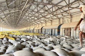 Nuvoco Vistas Shares May Rally 40% Says HDFC Securities — Check Stock Rating, Revised Target Price