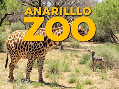 Amarillo Zoo
