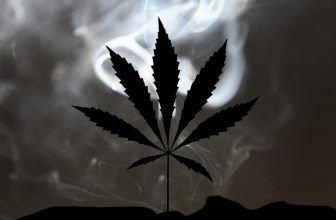 Is a MAGA-Aligned Think Tank Using the Hemp Ban to Advance a New Federal War on Cannabis?