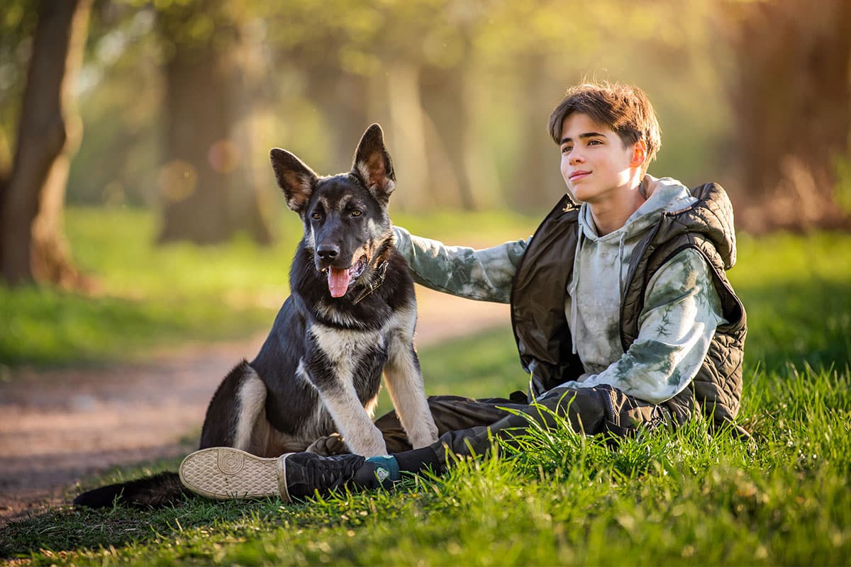Belgian Malinois standing alert, showcasing intensity and rugged adventure readiness.