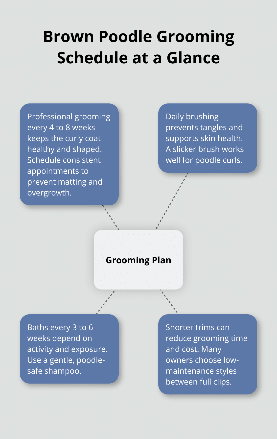 Hub-and-spoke chart showing professional grooming every 4–8 weeks, daily brushing, baths every 3–6 weeks, and shorter trims to reduce maintenance for brown poodles. - brown poodle puppy adoption