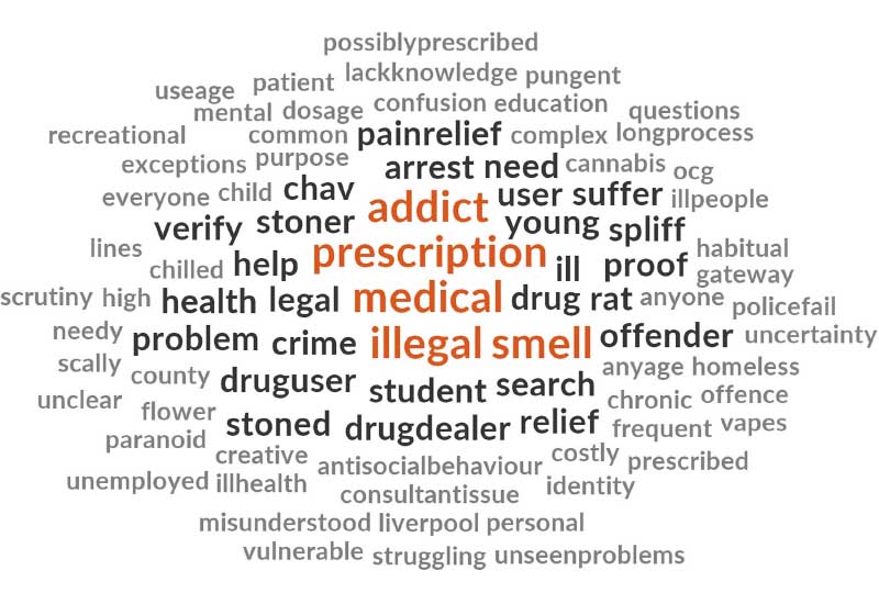 word cloud showing the first three words participants thought of when they heard the term cannabis user.