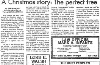 A Christmas Story: The Perfect Tree