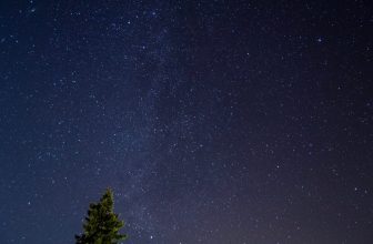 Something Weird Happened Last Night