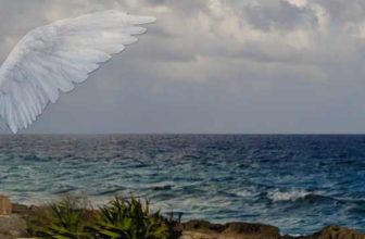 Energy Wings – Do YOU Have Etheric Angel Wings!?