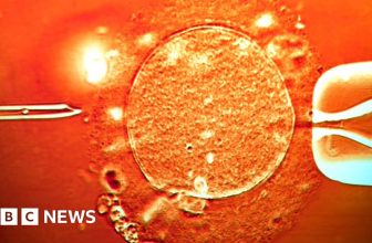 Sperm from donor with cancer-causing gene was used to conceive almost 200 children