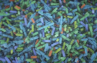 Going Low-Gluten May Harm Good Gut Bacteria, Researchers Warn