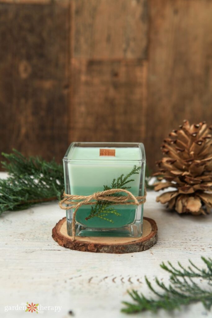 homemade evergreen candle wrapped in twine