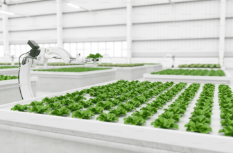 Extraordinary Food Trends Around the Corner – Kannamma Cooks