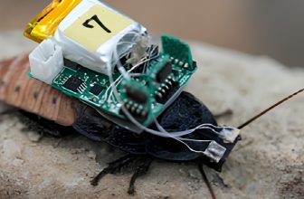 Researchers develop cyborg insects with UV light steering helmets