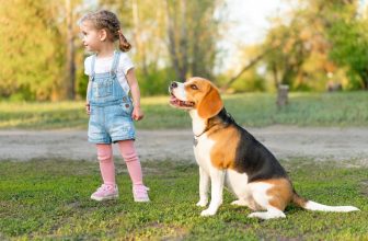 11 Outgoing Dog Breeds That Make Friends Instantly