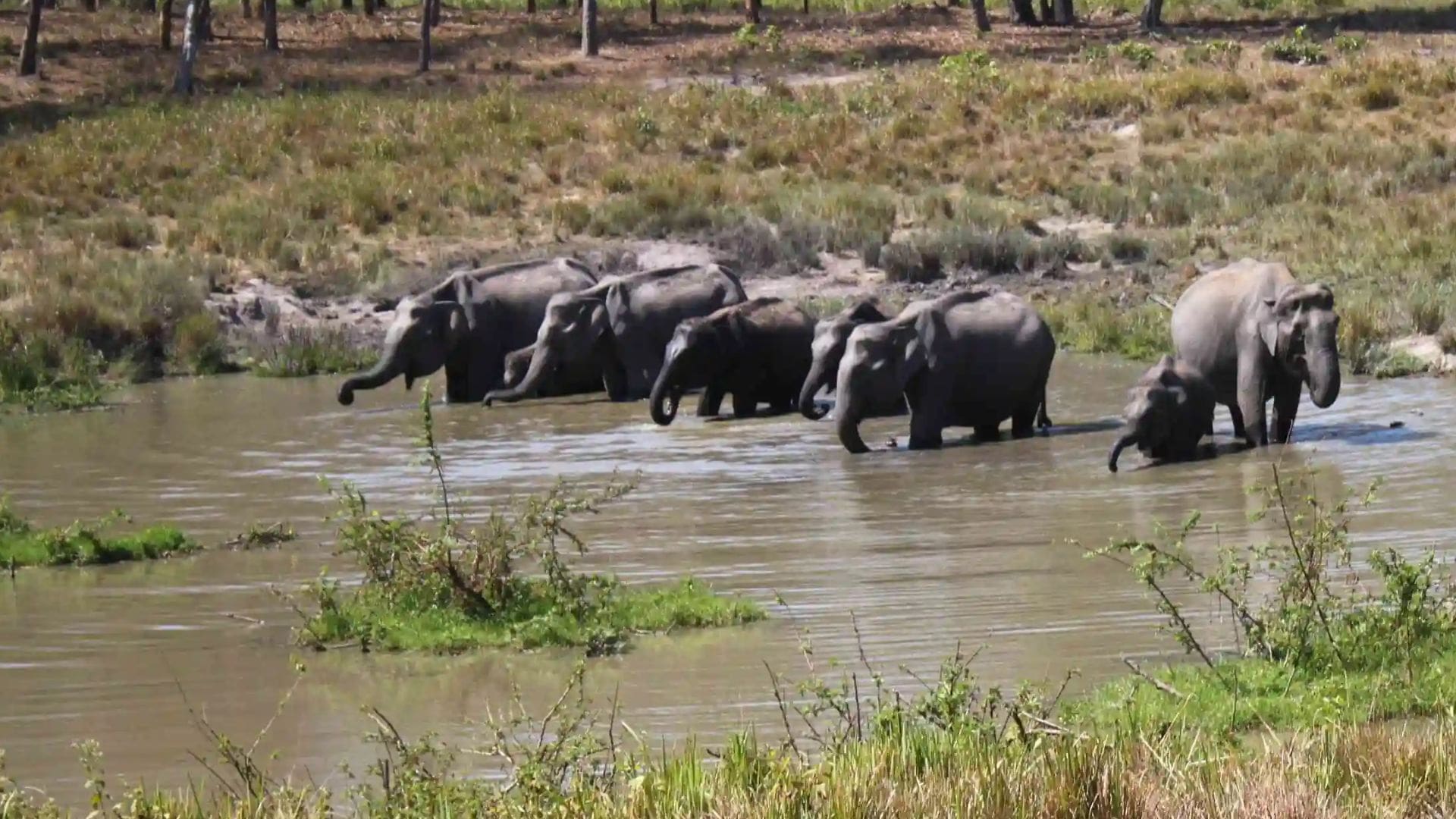 national-parks-in-kerala