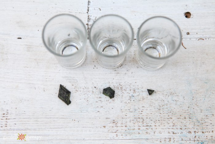 dye chips for candle making