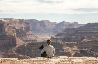 How To Make Traveling With Your Pet Effortless