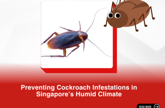 Prevent Cockroach Infestations in Singapore’s Humid Climate