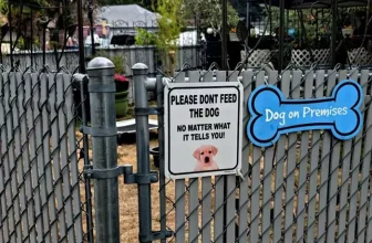 Slog AM: Australia Kicks Kids Off Social Media, More Rain Is Coming to Seattle, Trump Bails Out Farmers