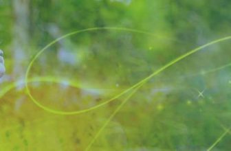 Rampage of Appreciation – A Simple Law of Attraction Technique That Works!