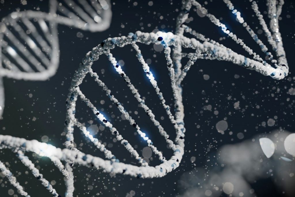 Common genetic factors seem to influence the co-occurrence of body image dissatisfaction and eating disorder symptoms, but do not represent the whole story.