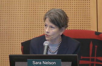 Sara Nelson’s New Political Consultant Regulations Have No Teeth
