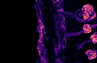 Your body feels cold in two different ways