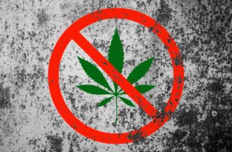The Government Just Outlawed Hemp Again. Now They Admit They Can’t Police It.