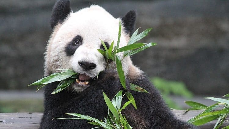 Best Baby Gifts Under 1 Year: 40+ Expert-Tested Ideas That Actually Get Used