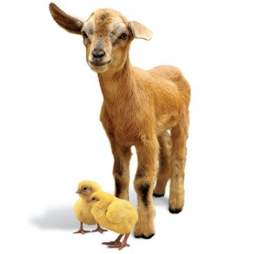 Best Baby Gifts Under 1 Year: 40+ Expert-Tested Ideas That Actually Get Used