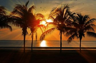 Are Freckles Sun Damage? – Dr. Michele Green M.D.