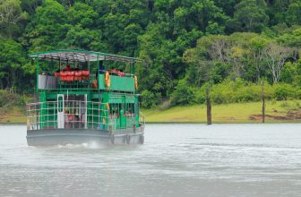 Thekkady Boating-Is It Worth It, Booking, Cost, And When Should You Go?
