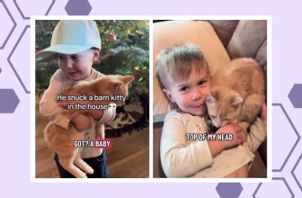 The “barn kitty” debate parents cannot stop talking about