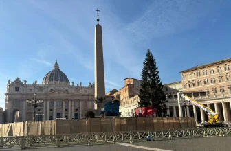 Vatican to unveil Nativity scene, light up Christmas tree in St. Peter’s Square on Dec. 15