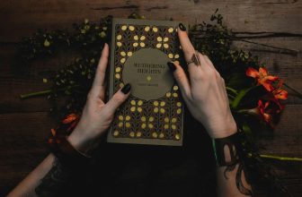 What “Wuthering Heights” Teaches Us About Our Professional Journeys