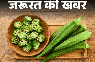Lady Finger Health Benefits; Bhindi Khane Ke Fayde | Nutritional Facts | जरूरत की खबर- भिंडी खाने से तेज होता दिमाग: फाइबर से भरपूर, न्यूट्रिशन का पावरहाउस, डॉक्टर से जानें किसे नहीं खानी चाहिए