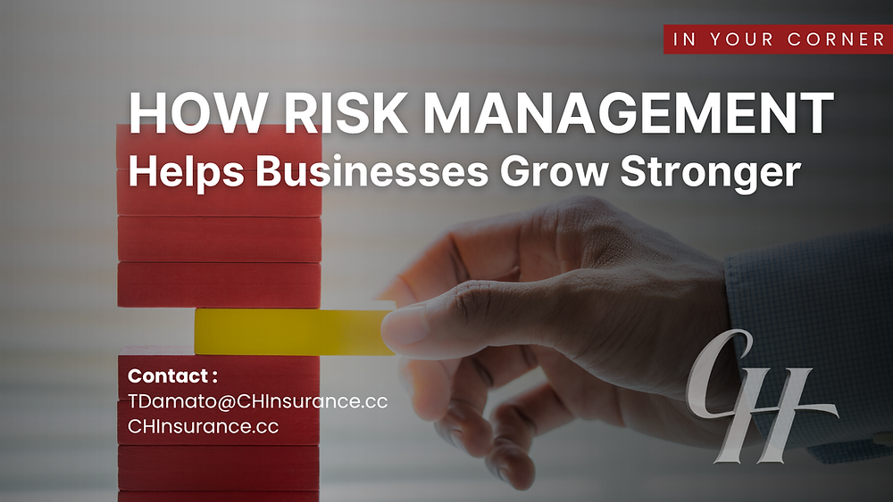 How Risk Management Helps Businesses Grow Stronger