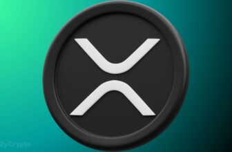 XRP Whale Activity Crashes 57% — Calm Before the Next Storm? ⋆ ZyCrypto