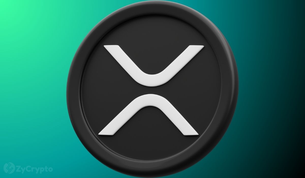 XRP Whale Activity Crashes 57% — Calm Before the Next Storm? ⋆ ZyCrypto