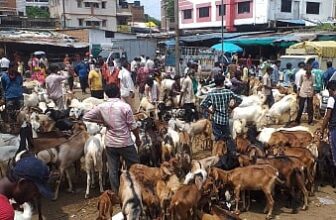Varanasi Goat Market Sealed Before Bakrid, Traders Protest Closure