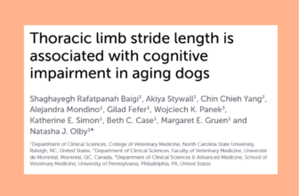 New Indicator of Cognitive Decline in Dogs