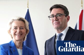 Andy Burnham wants to review the UK’s relationship with the EU. What are the options? | Brexit