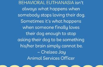 The Emotional Side Of Behavior Euthanasia