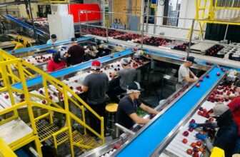 Conveyor Parts Sourcing Trends Manufacturers Are Watching Closely Heading Into 2026