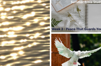 Summer Bible Study Series Week 3