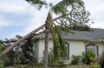 How to Prepare Your Home for Hurricane Season