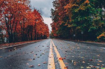 During This Season, Nature Reminds Us of the Importance of Letting Go – ItsJaiMarie