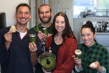 South Coast REC studies pesto profitability for small-scale basil growers – Food Blog