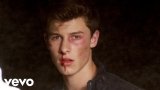 Shawn Mendes – Stitches (Official Music Video)